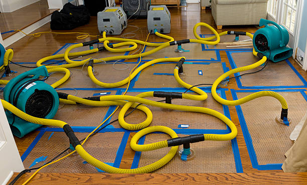Professional Storm Water Damage Restoration technician working in Hanover, ME